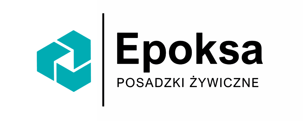EPOKSA
